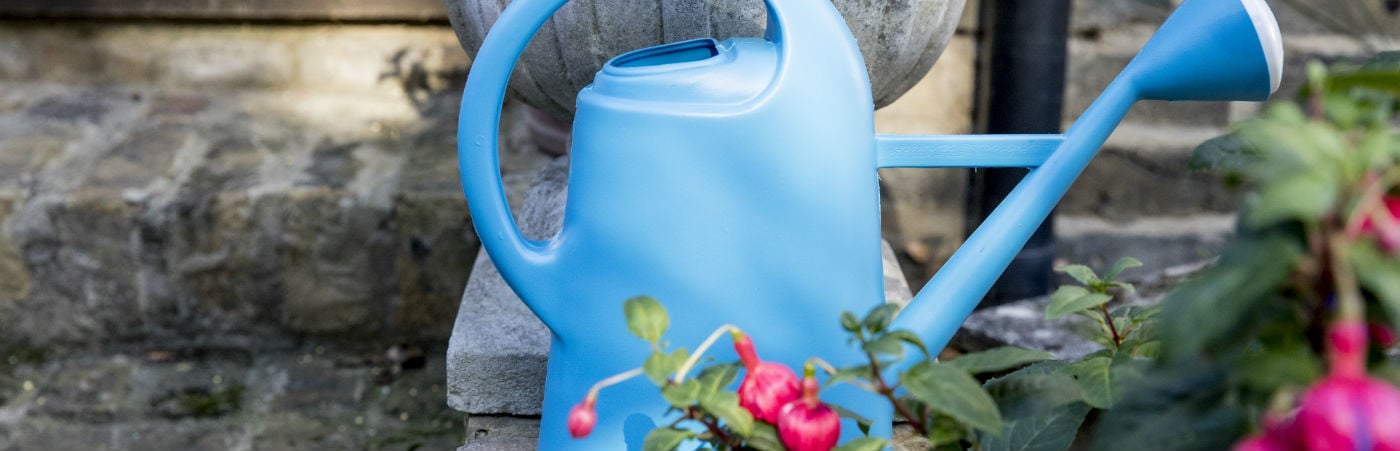 A blue watering can in the garden amid pink flowers